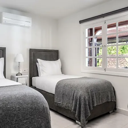 فيلة Drago By Agm بويرتو ذيل كارمين