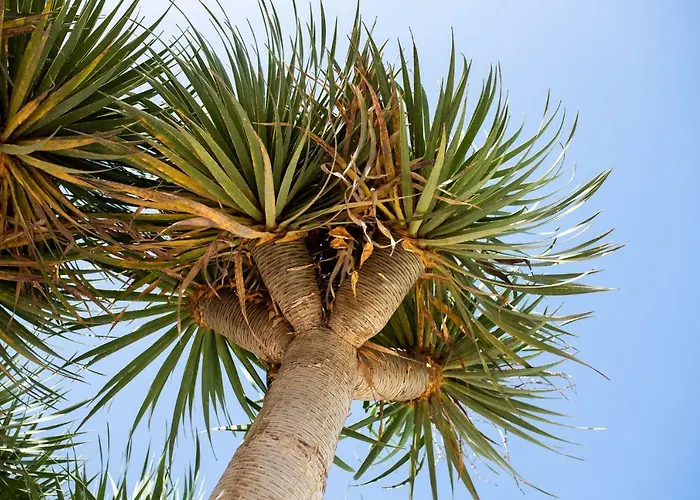 빌라 Drago By Agm *